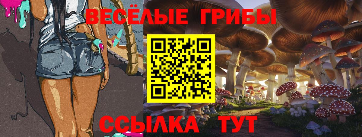 закладки  Псилоцибиновые грибы прущие грибы  Вход с VPN  Кропоткин 